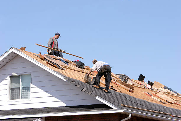 Best Roofing for New Construction  in Brightwood, VA